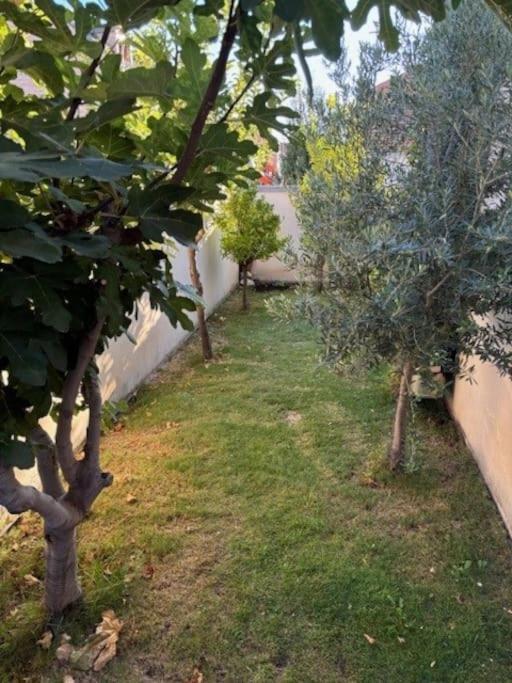 Estupenda Casa Compartida De Arquitecto! Villa Madrid Dış mekan fotoğraf